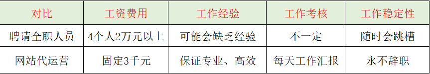 网站服务, 网站服务, 网站维护, 网站运营, 网站代运营, 网站SEO优化